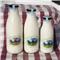 WHOLE Milk