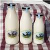 WHOLE Milk, 500ml